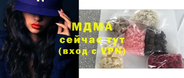 прущие грибы Верхний Тагил