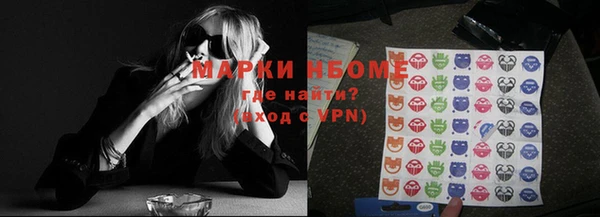 прущие грибы Верхний Тагил