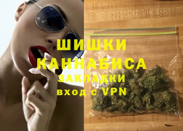 прущие грибы Верхний Тагил