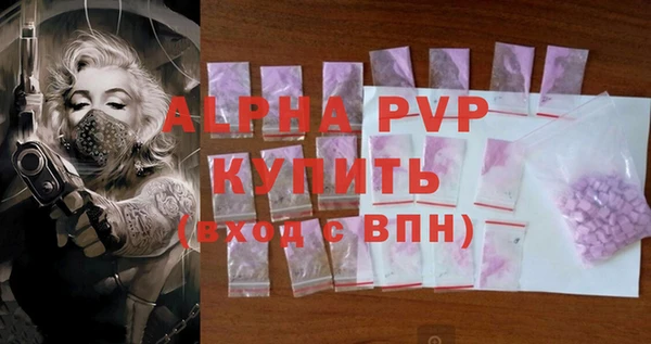 прущие грибы Верхний Тагил