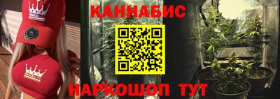 прущие крисы Будённовск