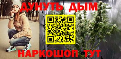 a pvp Гатчина