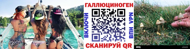 наркошоп  Гусев  Галлюциногенные грибы MAGIC MUSHROOMS 