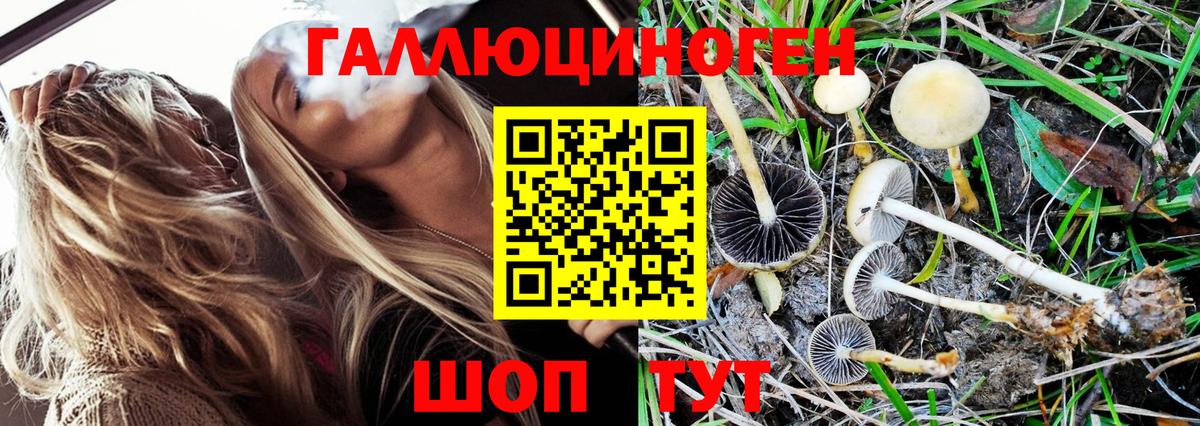 Галлюциногенные грибы Magic Shrooms Гусев
