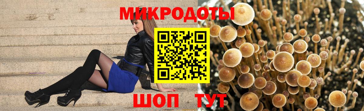 Псилоцибиновые грибы мухоморы  Гусев 