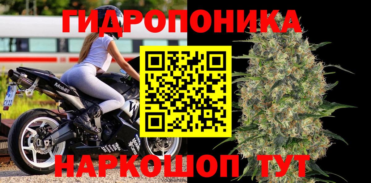 Марихуана White Widow Гусев